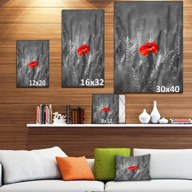 Coquelicots rouges simples - reproduction de photo sur toile tendue, H 20 po x l 12 po x P 1po