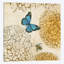 «Butterfly in Flight II», impression sur toile-31851646-73199053-73199048