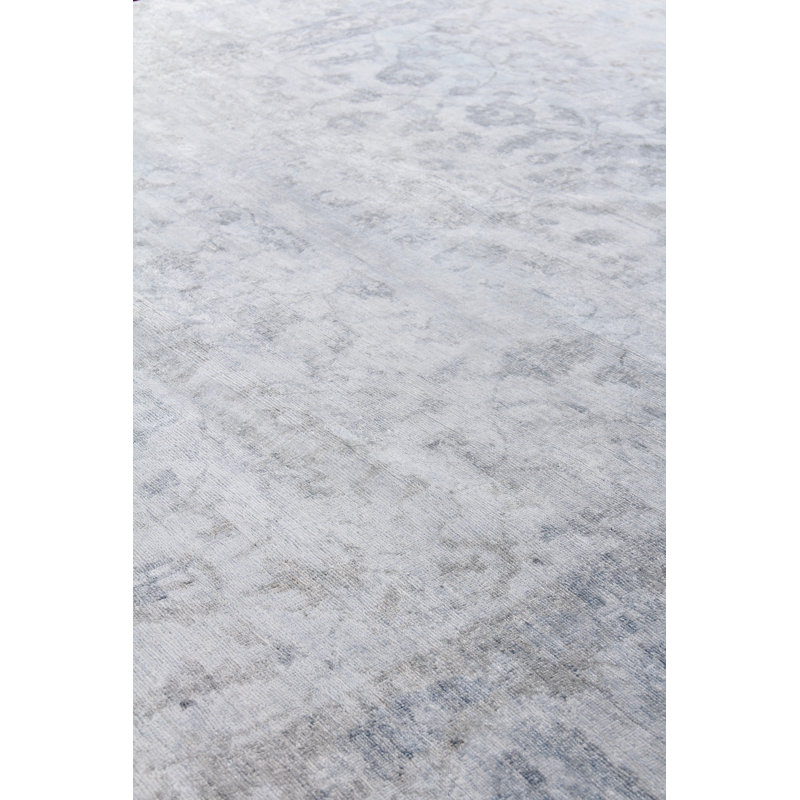 Beverly Oriental Area Rug in Gray, Rectangle 6' x 9'