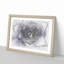 Lilac Succulent Plant in Abstract - Picture Frame Graphic Art Print-55772689-55772686