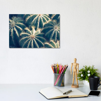 Cactus Garden II 1 Piece Wrapped Canvas Wall Art