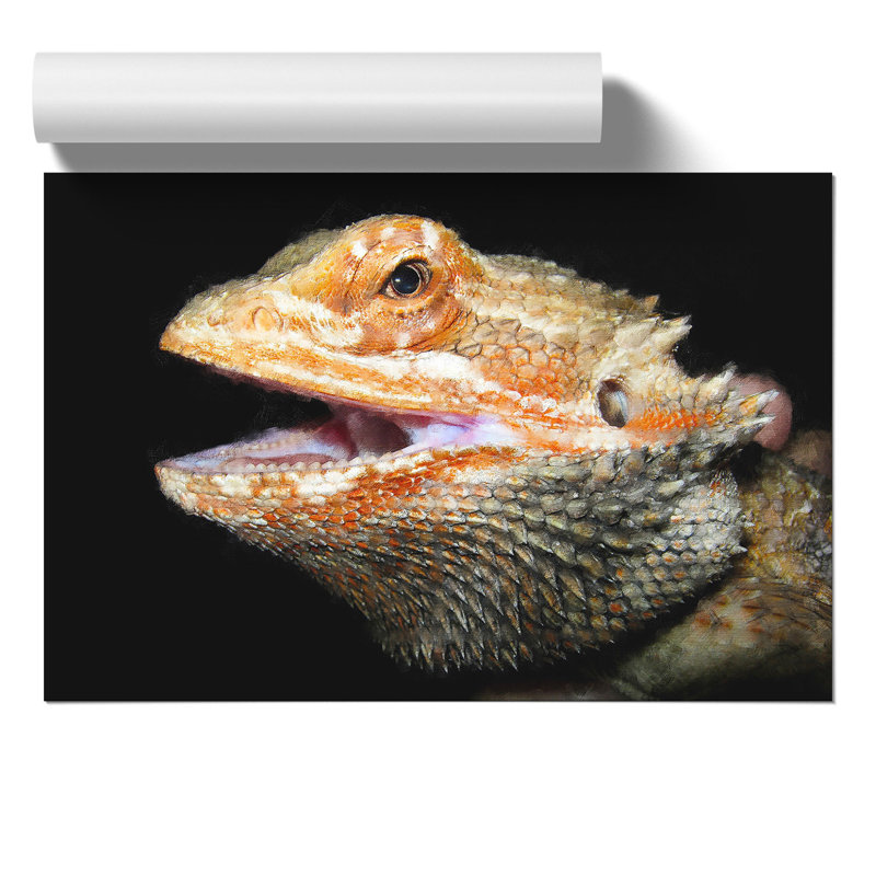 Bearded Dragon Lizard - No Frame Print, 42cm H x 59cm W x 0.1cm D