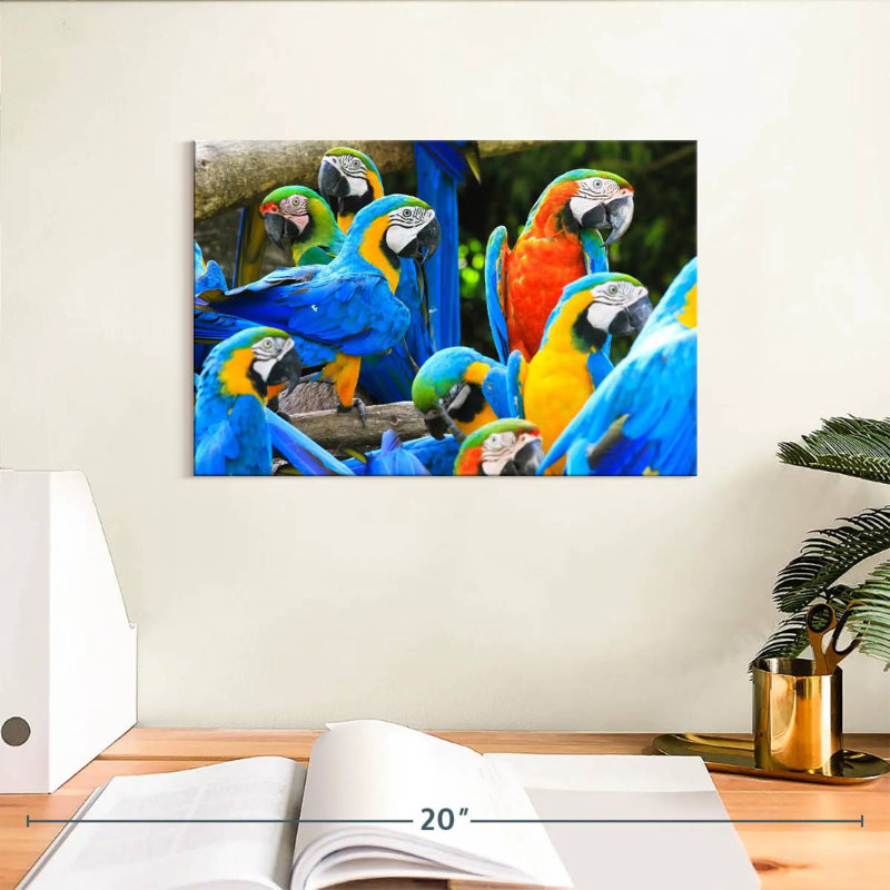 Brampt Flock Of Macaws, 8" H x 12" W
