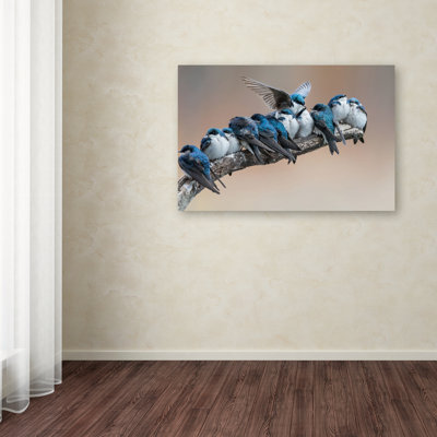« no room no problem », reproduction de photo sur toile tendue