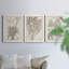 «Sepia Exotic Plants IV», ensemble de 3 peintures sur toile encadrées-595440743-595440742
