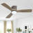 48'' Flush Mount Ceiling Fan 3 Carved Solid Wood Blades 6-Speed Noiseless Reversible DC Motor Indoor With Dimmable Light Kit And Remote, Charcoal Gray-1745857634-1745857656