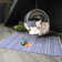 Perrotta Geometric Recycled P.E.T Hand Woven Indoor / Outdoor Area Rug