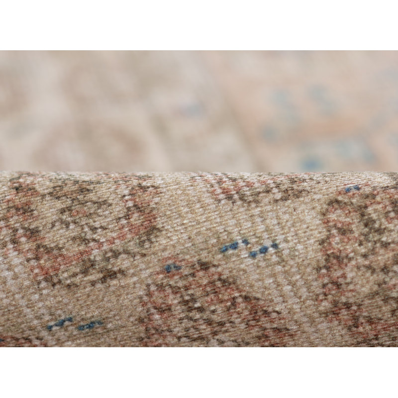 Dorset Oriental Area Rug in Beige, Rectangle 2' x 3'