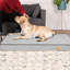 Coussin Pet-61797617