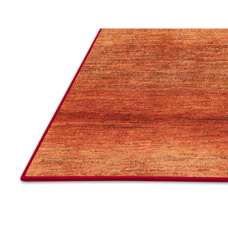 Tapis contemporain brun, Rectangle 2 pi x 4 pi