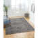 Denelle Polypropylene Indoor/Outdoor Rug