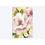«Blush Magnolia II», impression sur toile-32595358-72115253-72115254