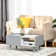 Dietz Coffee Table with Storage