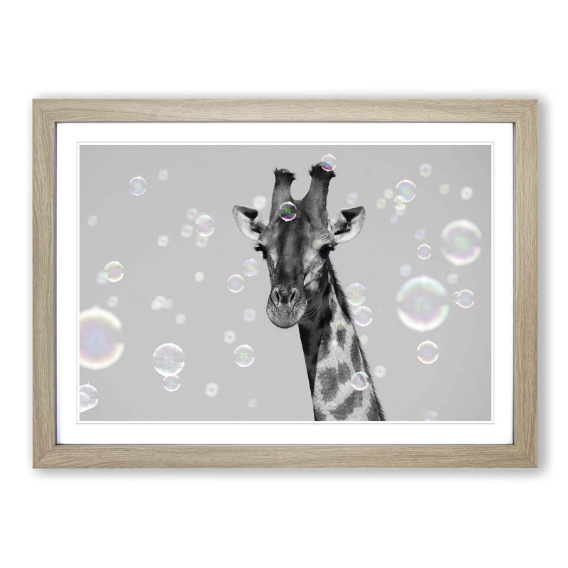 Giraffe Through the Bubbles - Picture Frame Graphic Art Print, 48cm H x 65cm W x 2cm D, Oak Framed