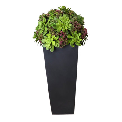 Plantes grasses et Sedum dans un pot en fibre de pierre
