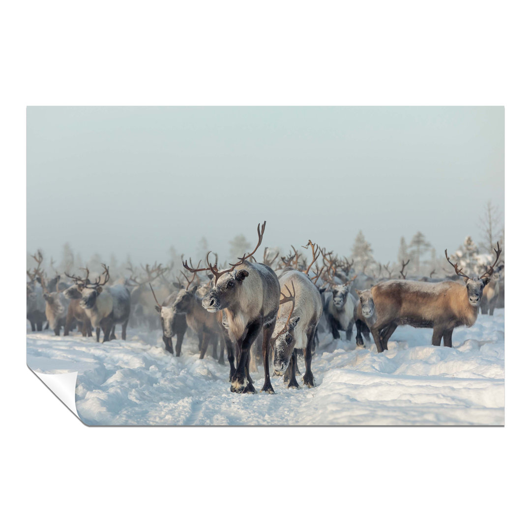Panther Print Fine Art Prints Reindeers In Winter Snow Artistic Unframed Poster, Pictures For Home Walls, Bedroom, Living Room & Bathroom Decor