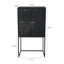 Armoire 31,5 x 16,5 x 60 po, noir