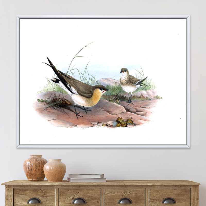 Illustration d'oiseau rétro II - impression sur toile, Toile blanche encadrée, H 12 po x l 20 po x p 1 po