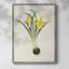 Fleurs des saisons VI, reproduction encadrée - bois massif-956500423
