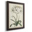 Toile encadrée de qualité supérieure Ivory Garden V - prête à être accrochée-2075508974