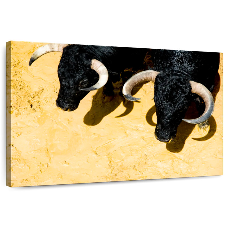 Fighting Bulls, H 20 po x l 30 po