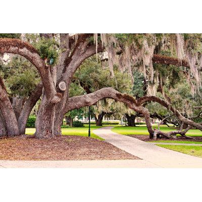 " Jekyll Island Georgia "