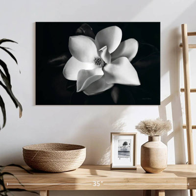 Harnek Magnolia en fleurs II