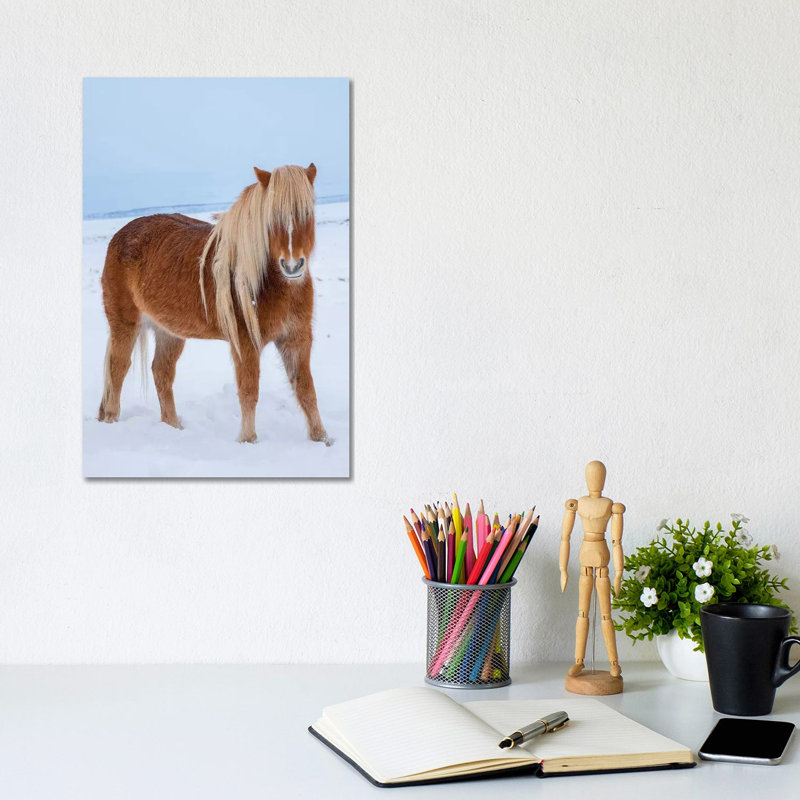 Traditional Icelandic Horse In Fresh Snow by Martin Zwick - Wrapped Canvas Gallery-Wrapped Canvas Giclée