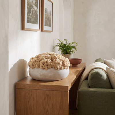 Sedum Arranged in a Stone Planter