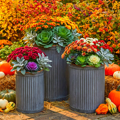 Randolph Vertically Ribbed Drum Planters
