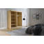 Janaka 2 Door Manufactured Wood Wardrobe-132595905-132595904