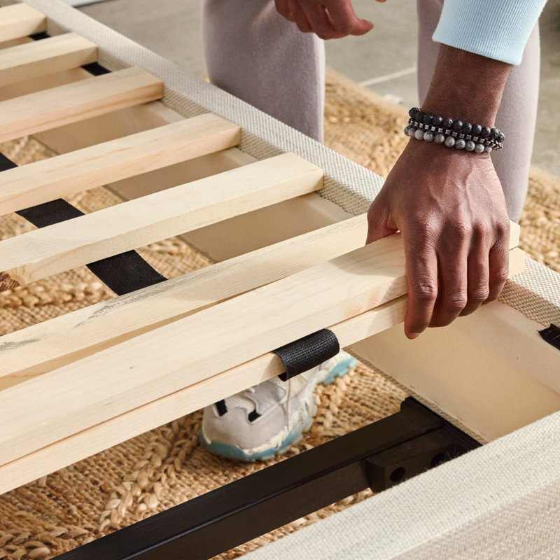 Avocado Foundation, Queen