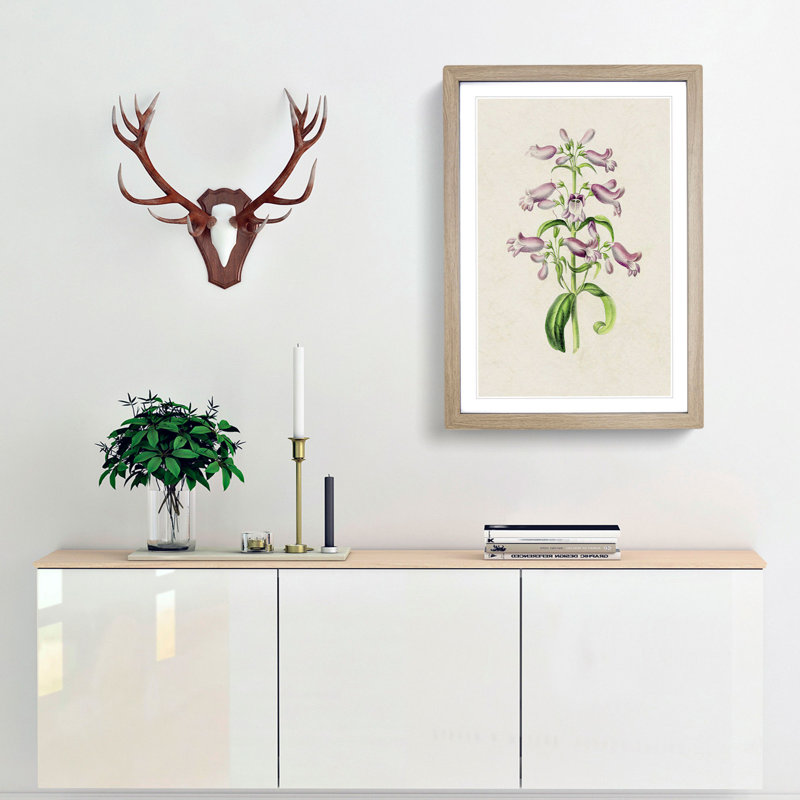 Purple Beardtongue Flower Illustration - Framed Print, 36cm H x 27cm W x 2cm D, Oak Framed