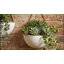 Ensemble de pots à fleurs muraux suspendus Modern Modern-1595758119