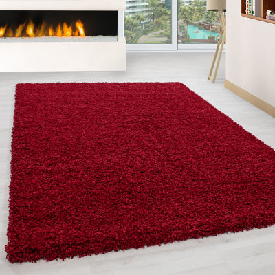 Adavia Rectangle Shaggy Washable Area Rug