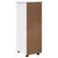 File Cabinet-1600481260