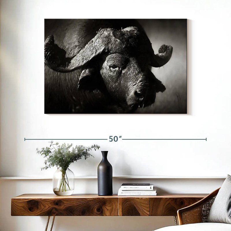 Buffle d'Afrique sauvage Brampt, H 26 po x l 39 po