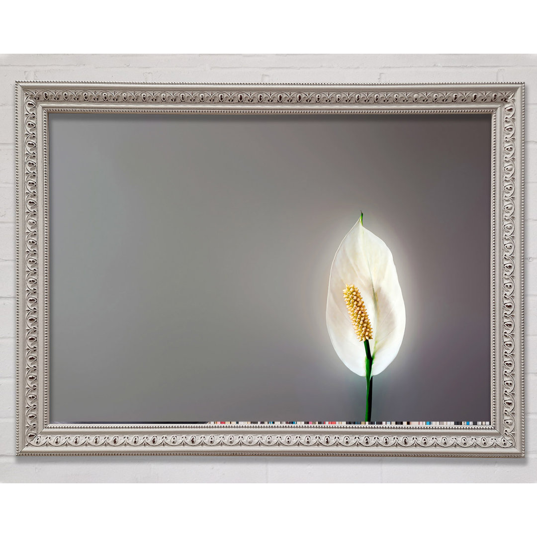 White Lily Heaven - Einzelner Bilderrahmen Kunstdrucke