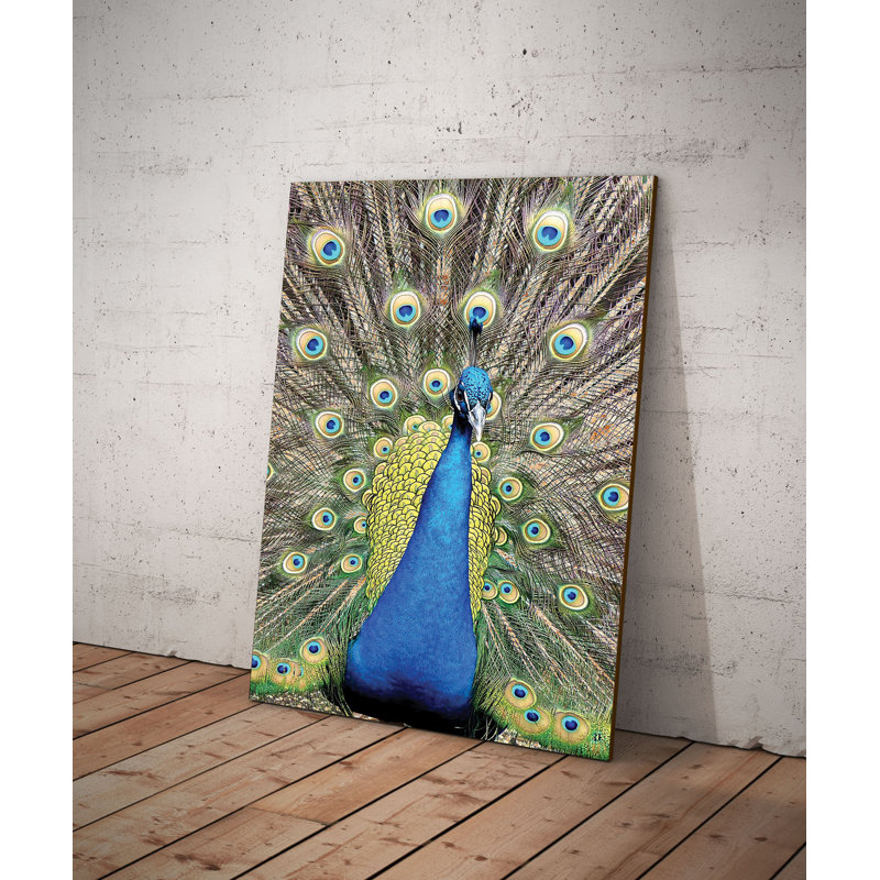 Peacock - No Frame Print on Wood