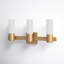 Tremper 3 Light Frosted Dimmable Vanity Light