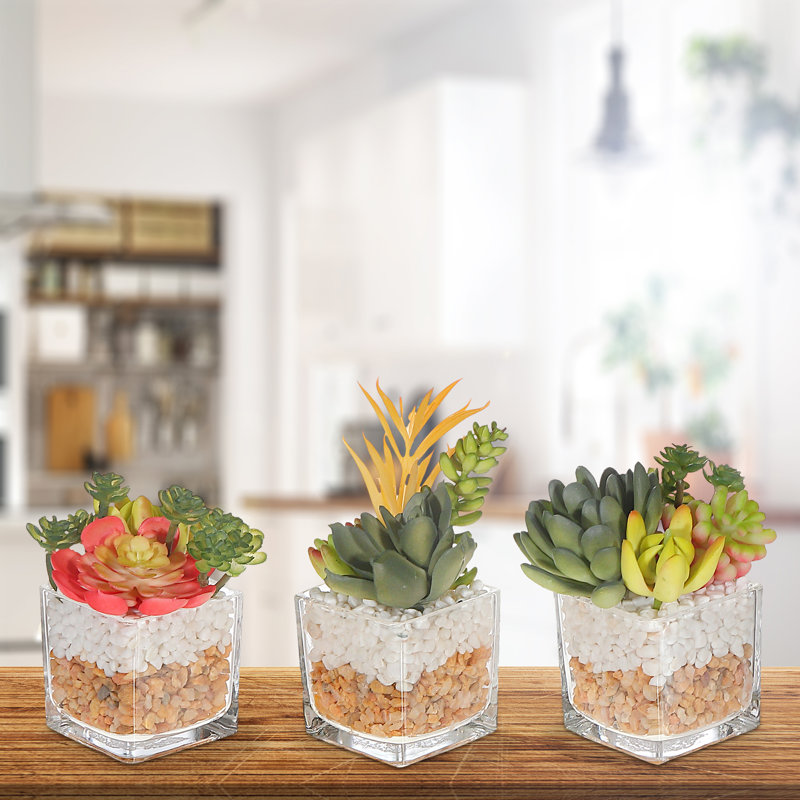 Ensemble de 3 plantes grasses artificielles dans un pot à fleurs