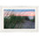 Dune Grass With Dew Print by Ted Glasoe