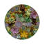 Sous-verres Succulents Evergreen-119015173