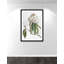 «Pearly Beauty II» par Eva Watts-129313468-129313469-129313487