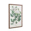 Foliage and Blooms Framed Art