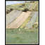 Farm Country Giclee Print