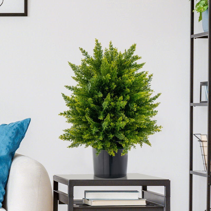 55cm Faux Pine Plant in Pot