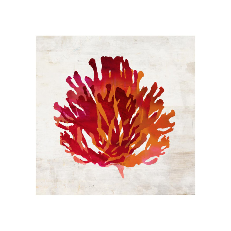 Pomegranate Coral VI Print by Sofia Fox, 24" H x 24" W x 1.5" D, Knife Gel