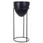 Alfredine Plant Stand-1173792385