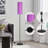 Imke 61.5'' Matte Traditional Floor Lamp-437409534